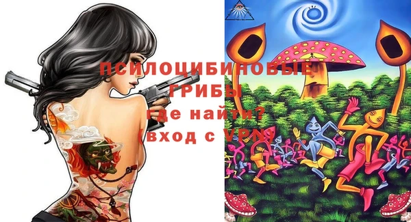 крисы Алексеевка