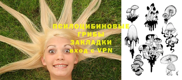 СК Алексин
