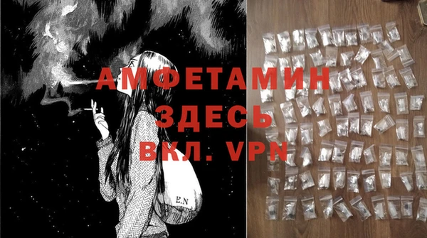 СК Алексин
