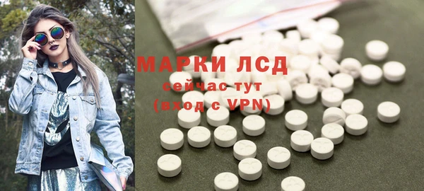 СК Алексин