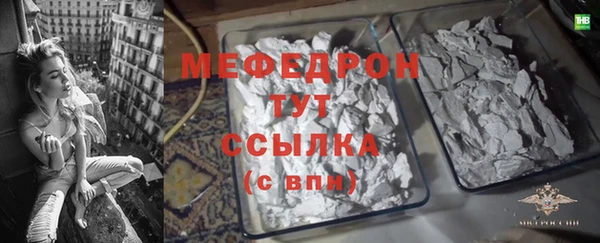 СК Алексин