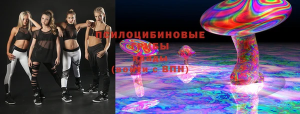 СК Алексин