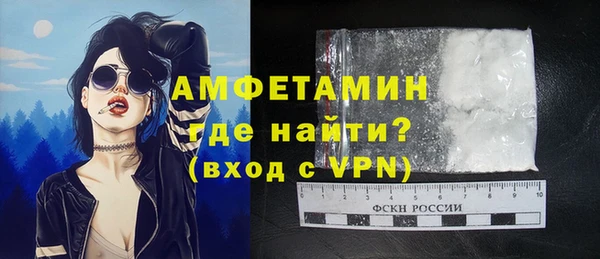 СК Алексин